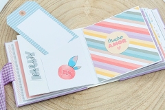 mini-album-fatato-10