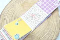 mini-album-fatato-11