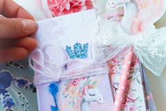princess-advenutes-15