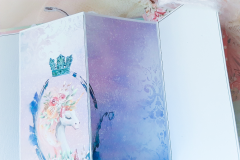 princess-advenutes-16