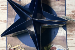 blog-il-murrillo-mini-album-stella-le-insolite-1