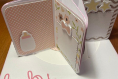 blog-il-murrillo-mini-album-stella-le-insolite-10