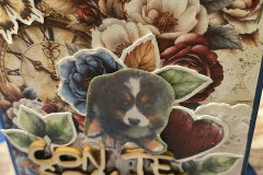 blog-il-murrillo-mini-album-stella-le-insolite-3