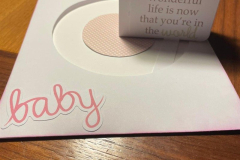 blog-il-murrillo-mini-album-stella-le-insolite-9