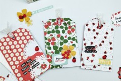 blog-il-murrillo-album-da-tavolo-echo-park-little-ladybug-10