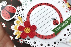 blog-il-murrillo-album-da-tavolo-echo-park-little-ladybug-2