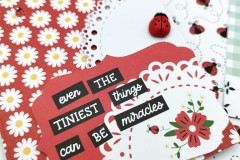 blog-il-murrillo-album-da-tavolo-echo-park-little-ladybug-3