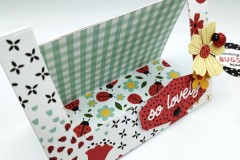 blog-il-murrillo-album-da-tavolo-echo-park-little-ladybug-7