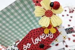 blog-il-murrillo-album-da-tavolo-echo-park-little-ladybug-8