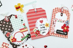 blog-il-murrillo-album-da-tavolo-echo-park-little-ladybug-9
