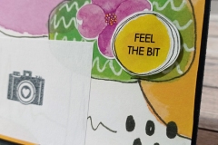 feel-the-vibes30