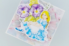 carte-con-alice-03