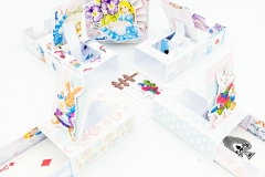 carte-con-alice-10
