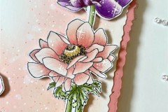 blog-il-murrillo-card-anemoni-chiara-2