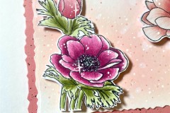 blog-il-murrillo-card-anemoni-chiara-3
