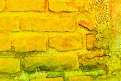 birdhouse-piatek-blog-il-murrillo-3