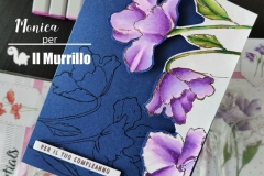 diretta-settembre-monica-02