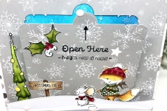 card-sorpresa-06