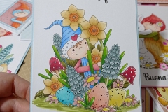 card-pasquali-per-tutti-08
