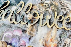 progetto-blog-il-murrillo-casa-infestata-8