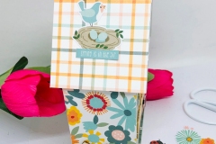 bloom-baby-bloom-04