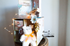 IMG_cubotto11