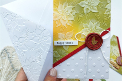 blog-il-murrillo-card-con-embossing-folder-angela-10