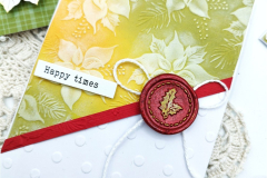 blog-il-murrillo-card-con-embossing-folder-angela-5