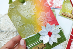 blog-il-murrillo-card-con-embossing-folder-angela-6