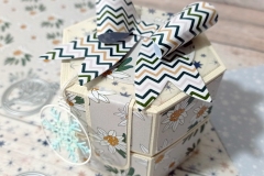 so-magic-exagon-box-06