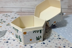 so-magic-exagon-box-09