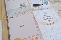 flip-december-12