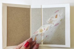 FOTO_TUTORIAL_6