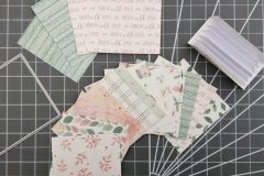 tutorial_feb_simona06