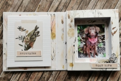 book-album-guest-designer-il-murrillo-5