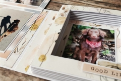book-album-guest-designer-il-murrillo-7