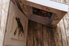 book-album-guest-designer-il-murrillo-8