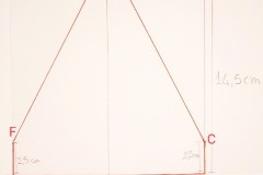 Immagine1