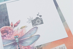 blog-il-murrillo-pocket-album-simona-12