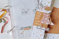 mini-album-ad-anelli-progetto-blog-il-murrillo-5
