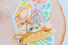 blog-il-murrillo-mini-album-farfalla-simona-11