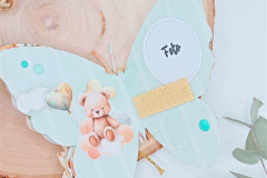 blog-il-murrillo-mini-album-farfalla-simona-6