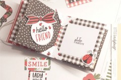 blog-il-murrillo-mini-album-a-forma-di-stella-6