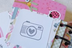 blog-il-murrillo-mini-album-fate-simona-13