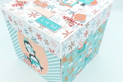 box-piccolo-elfo-09