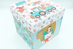 box-piccolo-elfo-10