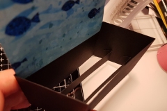 acquario-patrizia-step-17