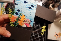 acquario-patrizia-step-19