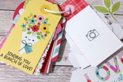 tag-album-lots-of-love-11