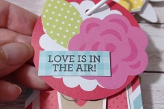 tag-album-lots-of-love-15